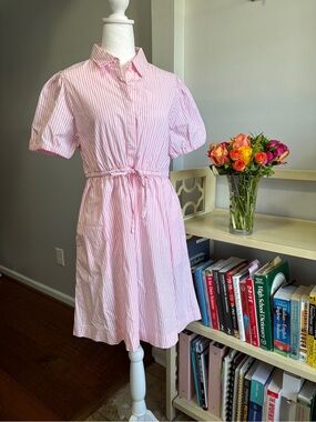 J. Crew Factory Tie-waist Shirt Dress
